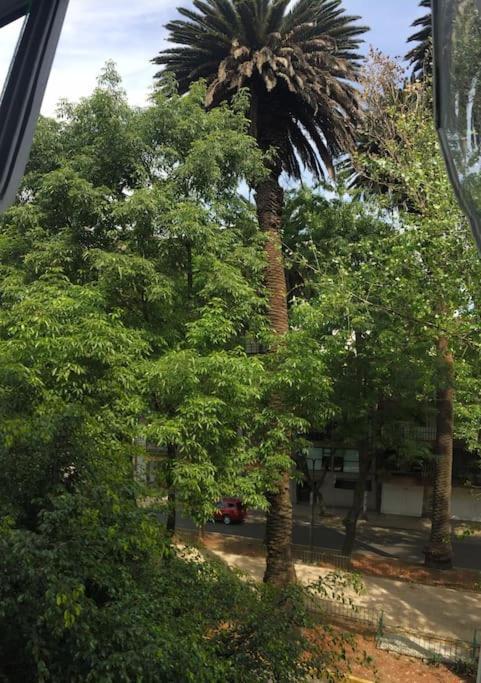 Condesa Caribe Vintage Apartamento Cidade do México