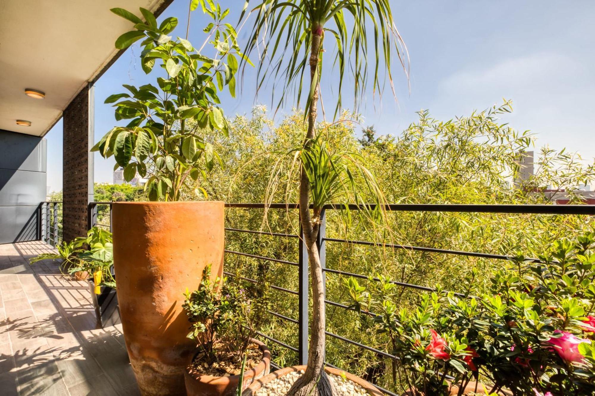 Chic Ph Haven With Rooftop, Condesa 2br By Tasman Holiday home Mexico City