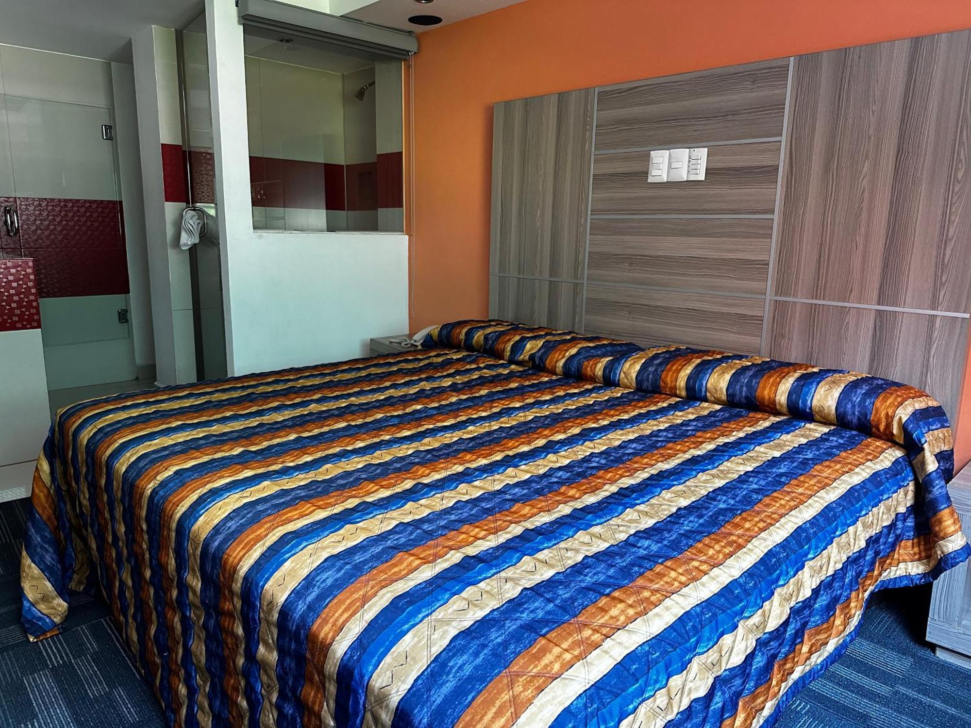 Rossel Plaza Hotel *