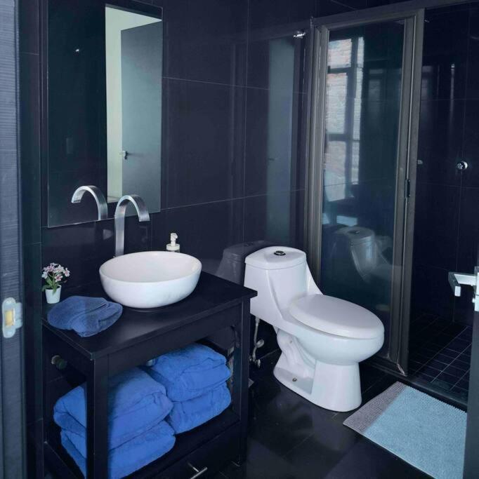 U36-207 Spacious And Elegant Loft Downtown Cdmx * Mexico City