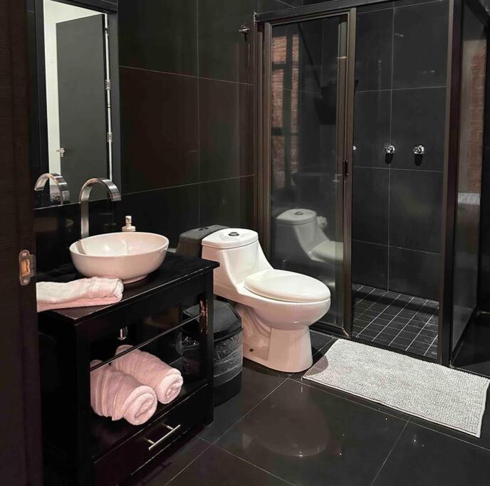 U36-207 Spacious And Elegant Loft Downtown Cdmx * Mexico City
