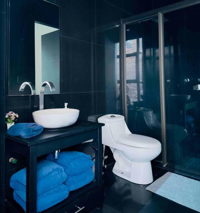 Apartment U36-207 Spacious And Elegant Loft Downtown Cdmx Mexico City
