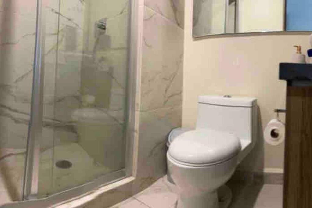 Hermoso En San Angel, Cdmx Apartment