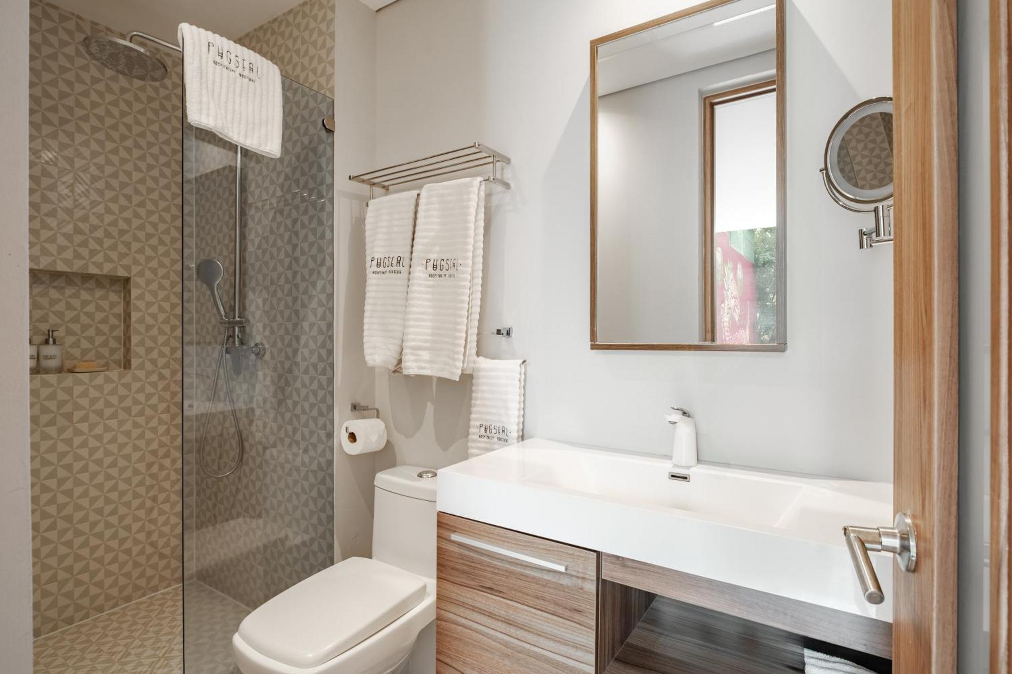 Pug Seal Polanco Allan Poe Hotel 5*
