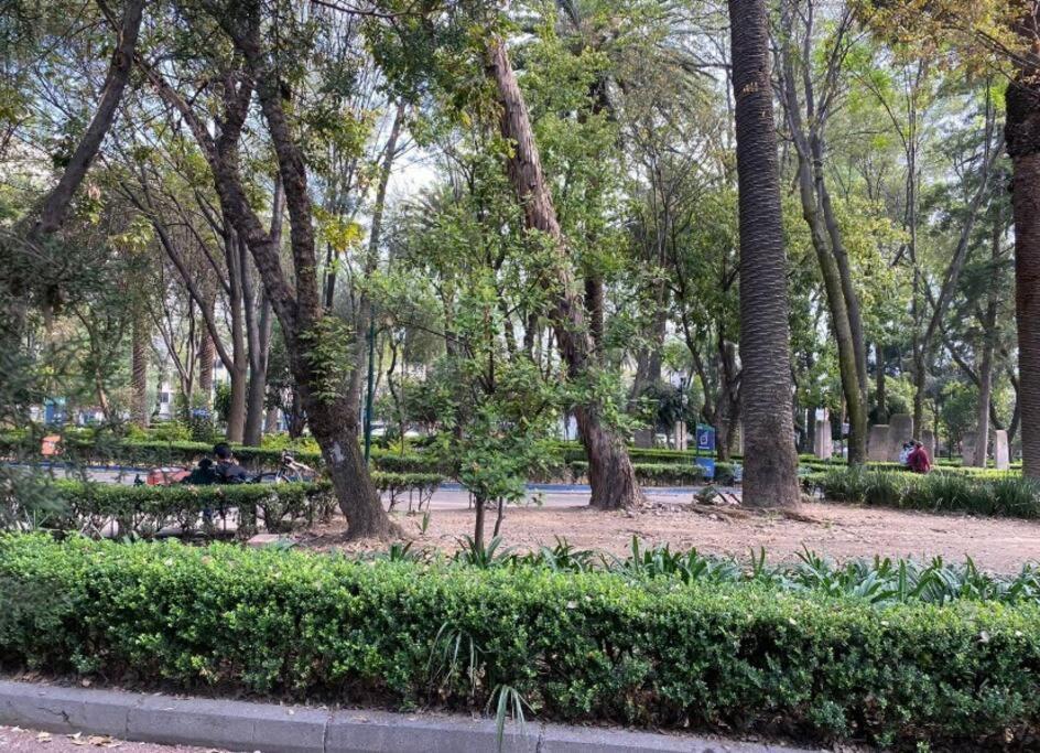 Apartamento Park Narvarte *