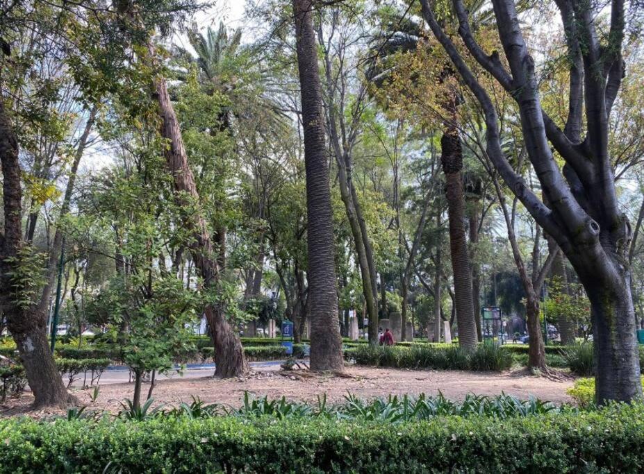 Park Narvarte Cidade do México