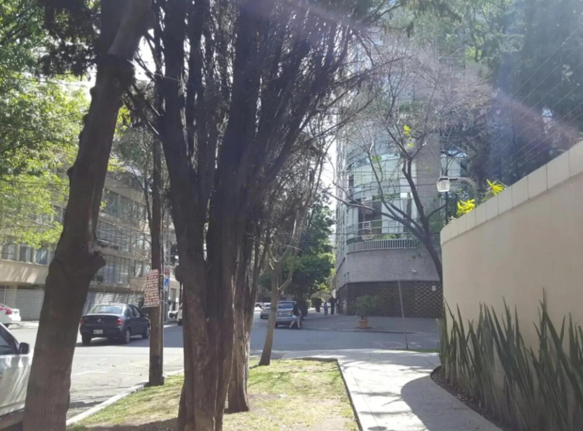 Mi Casa #1 At Polanco's Most Exclusive Area * Mexico City