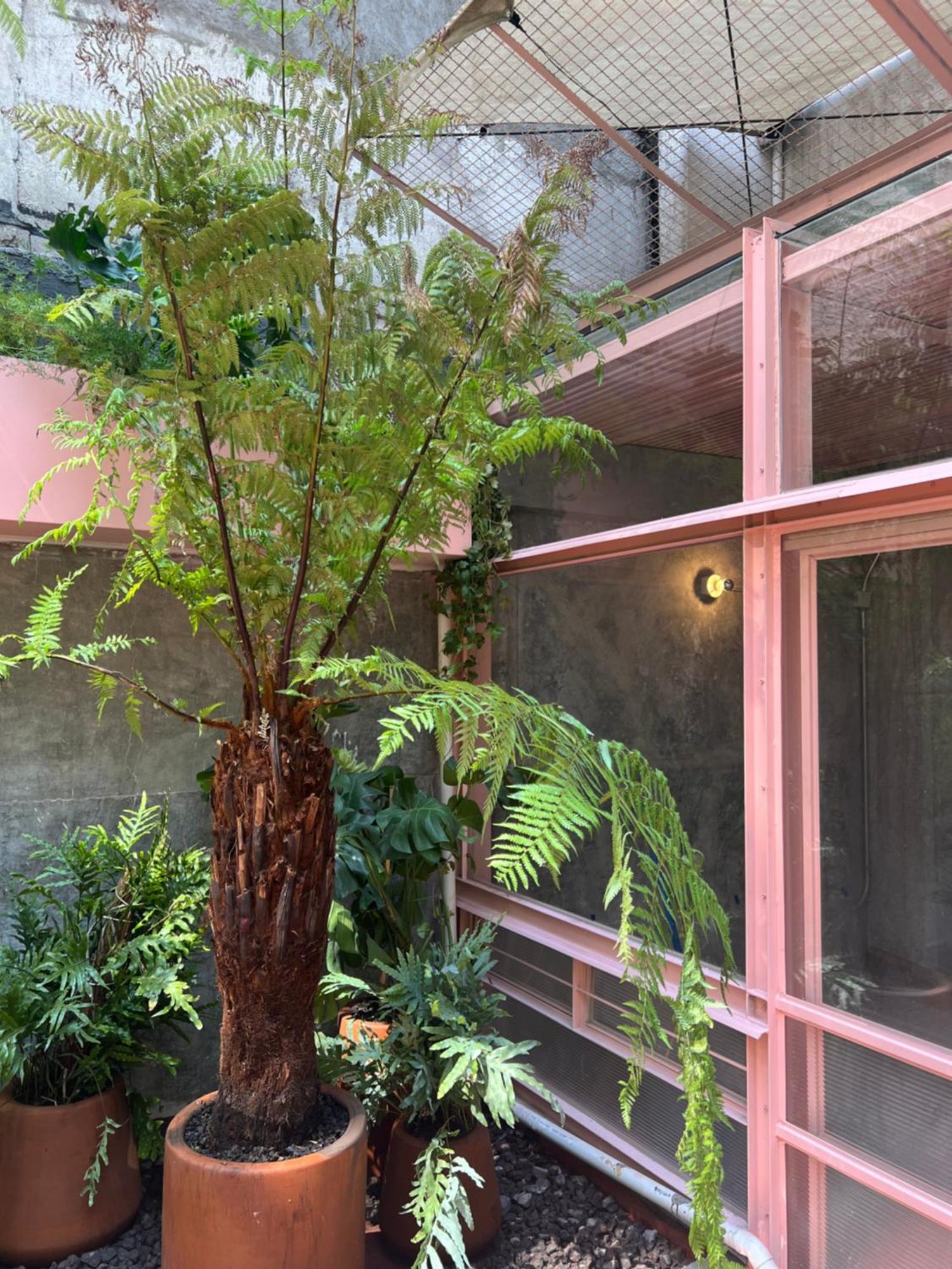 Aparthotel Xolo *