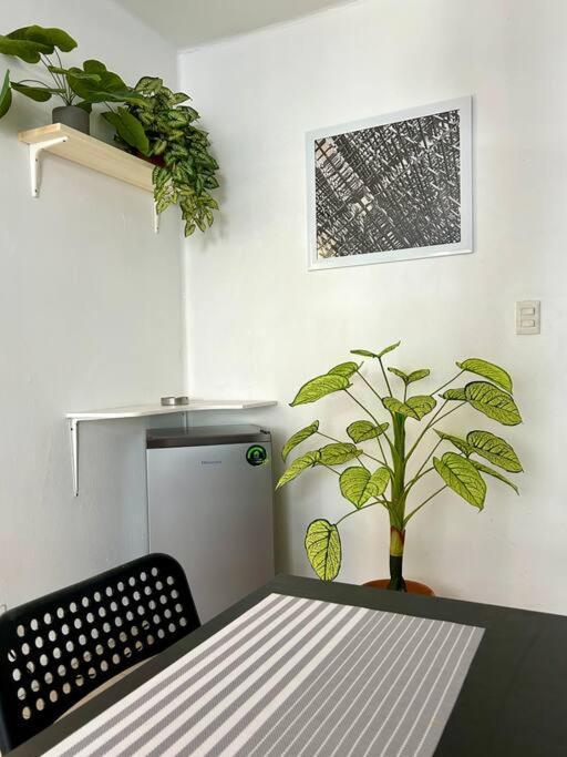Roma Retreat Cozy&trendy *