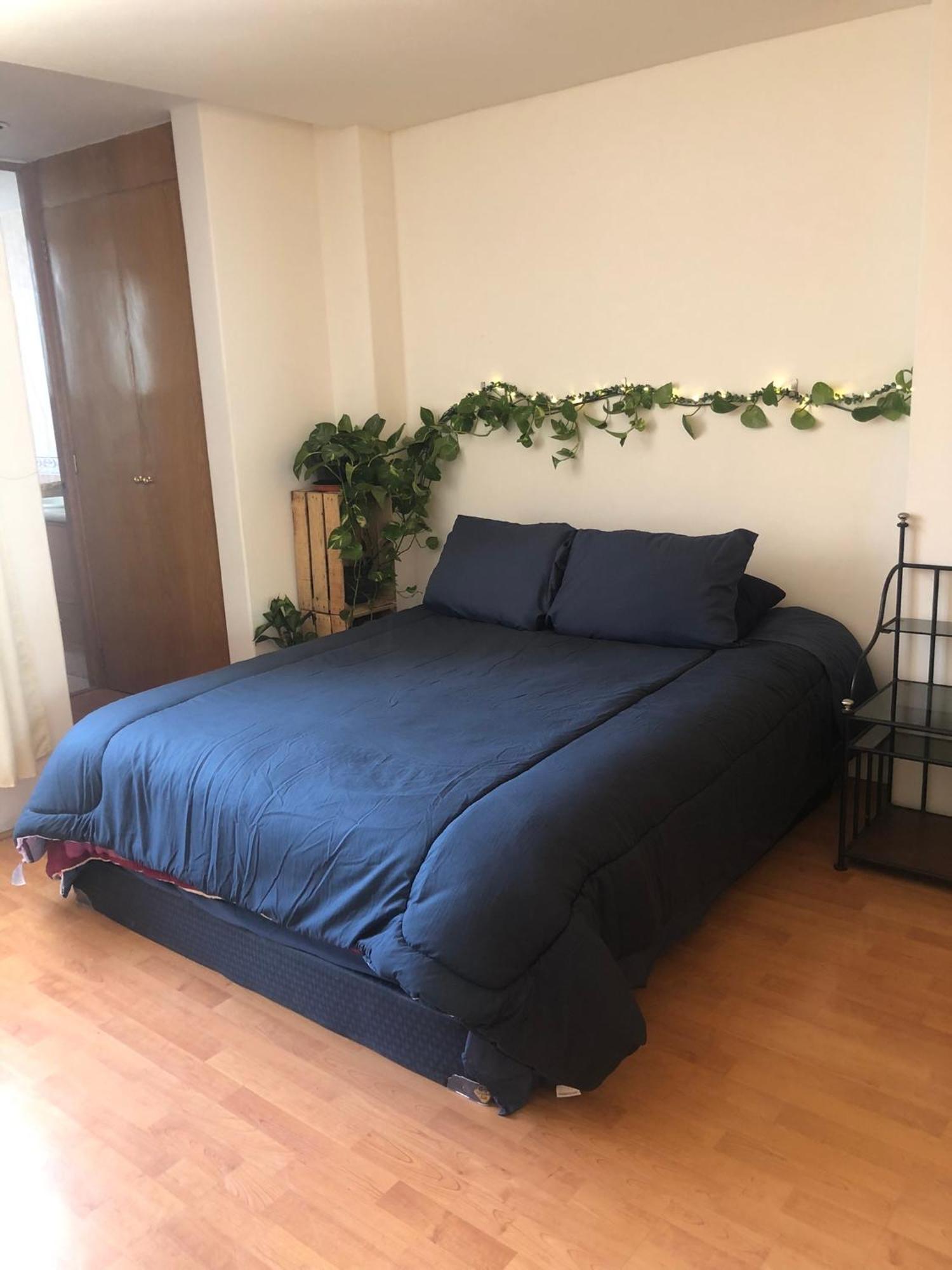 Private In Roma Norte Homestay *