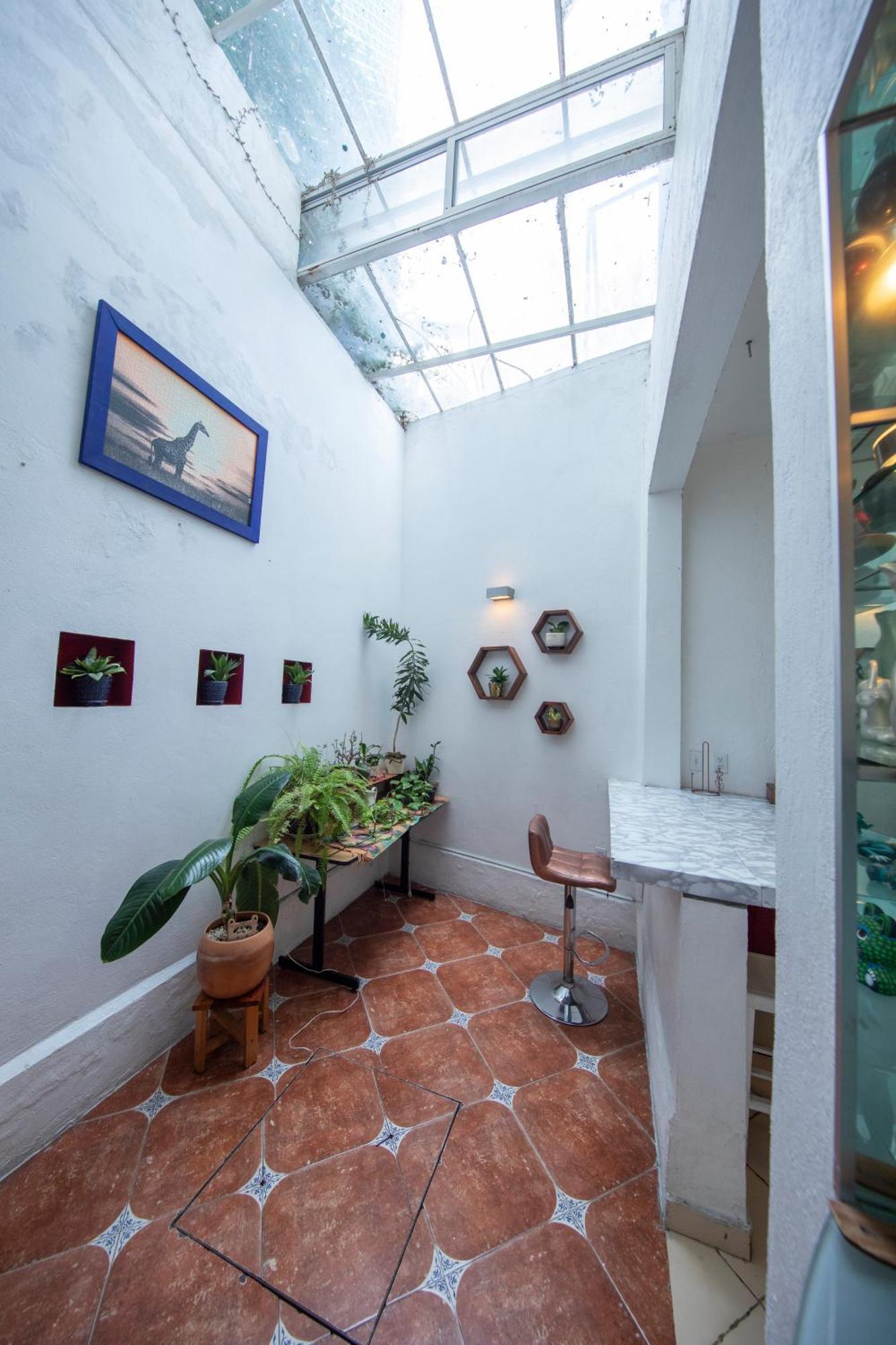 Hotel Departamentos Mi Querido Coyoacan México DF