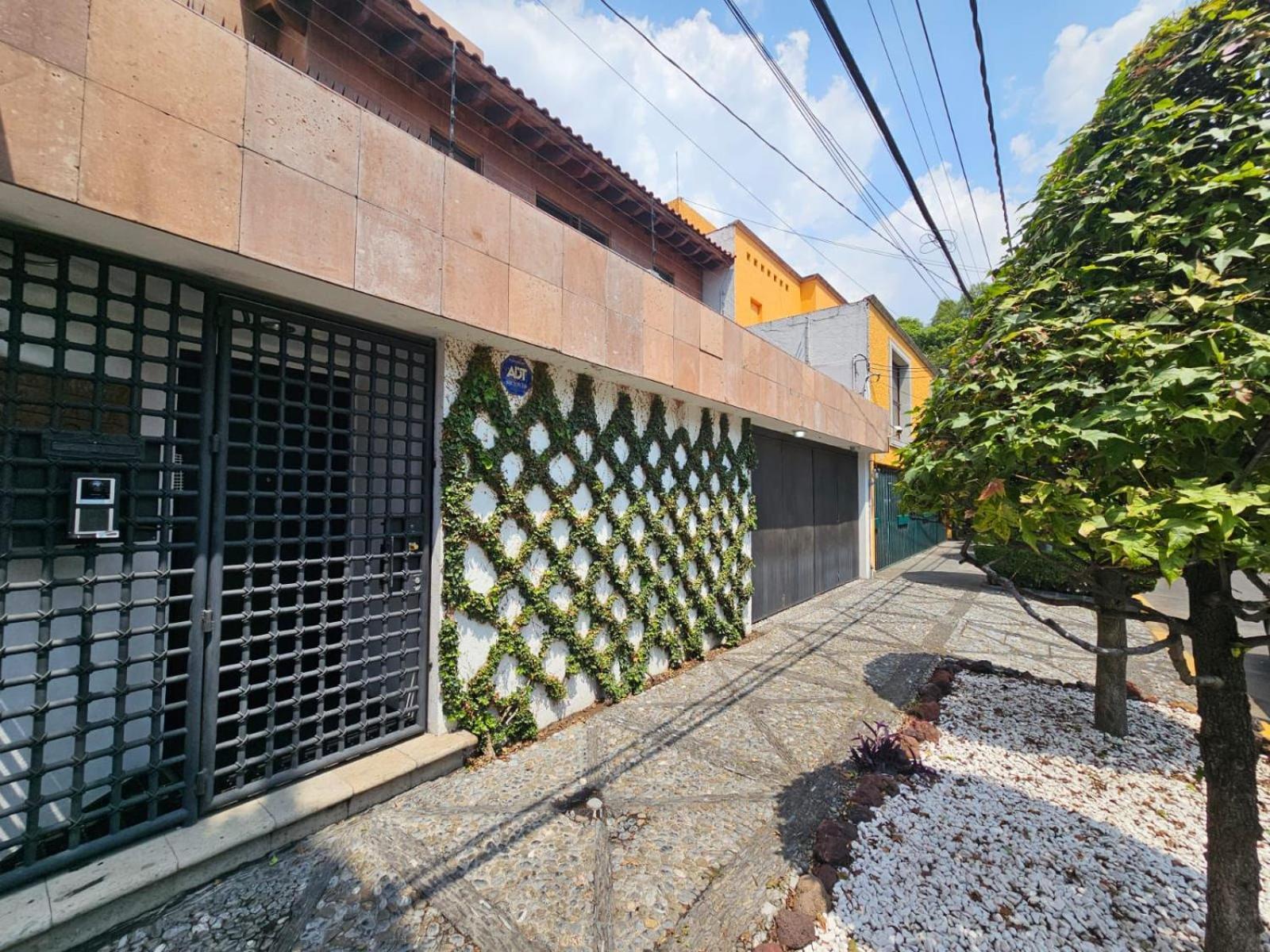 Vive Coyoacan Cdmx * Cidade do México