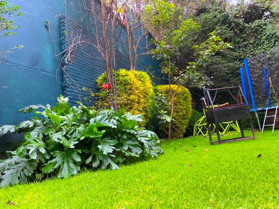 Tipo Cabana, Rodeado De Bosque Camping