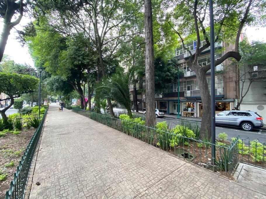 Apartamento Amplio Apto Con Excelente Ubicacion En La Condesa *