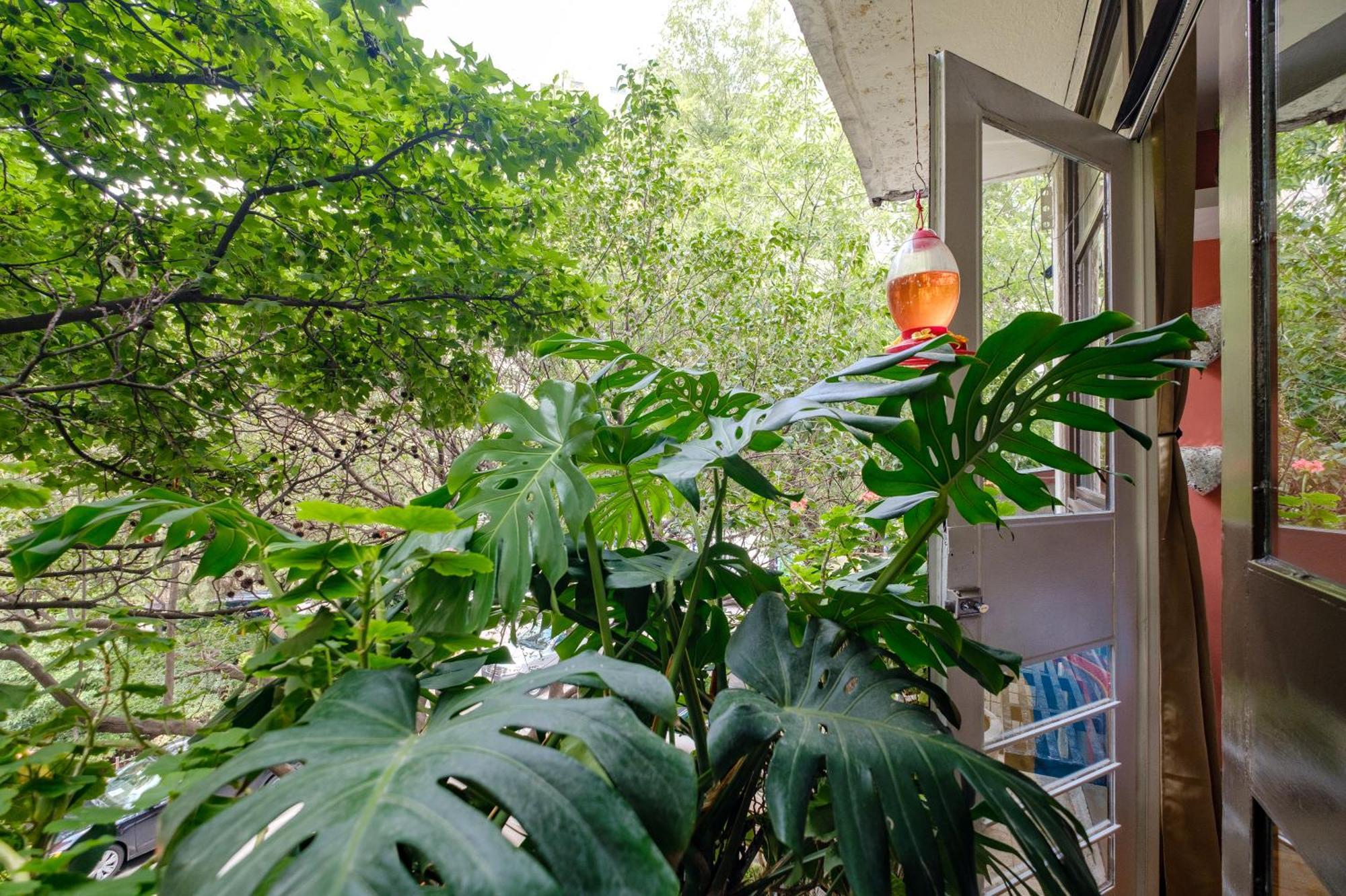 Casa Itzae Polanquito Dog Friendly Bed and breakfast