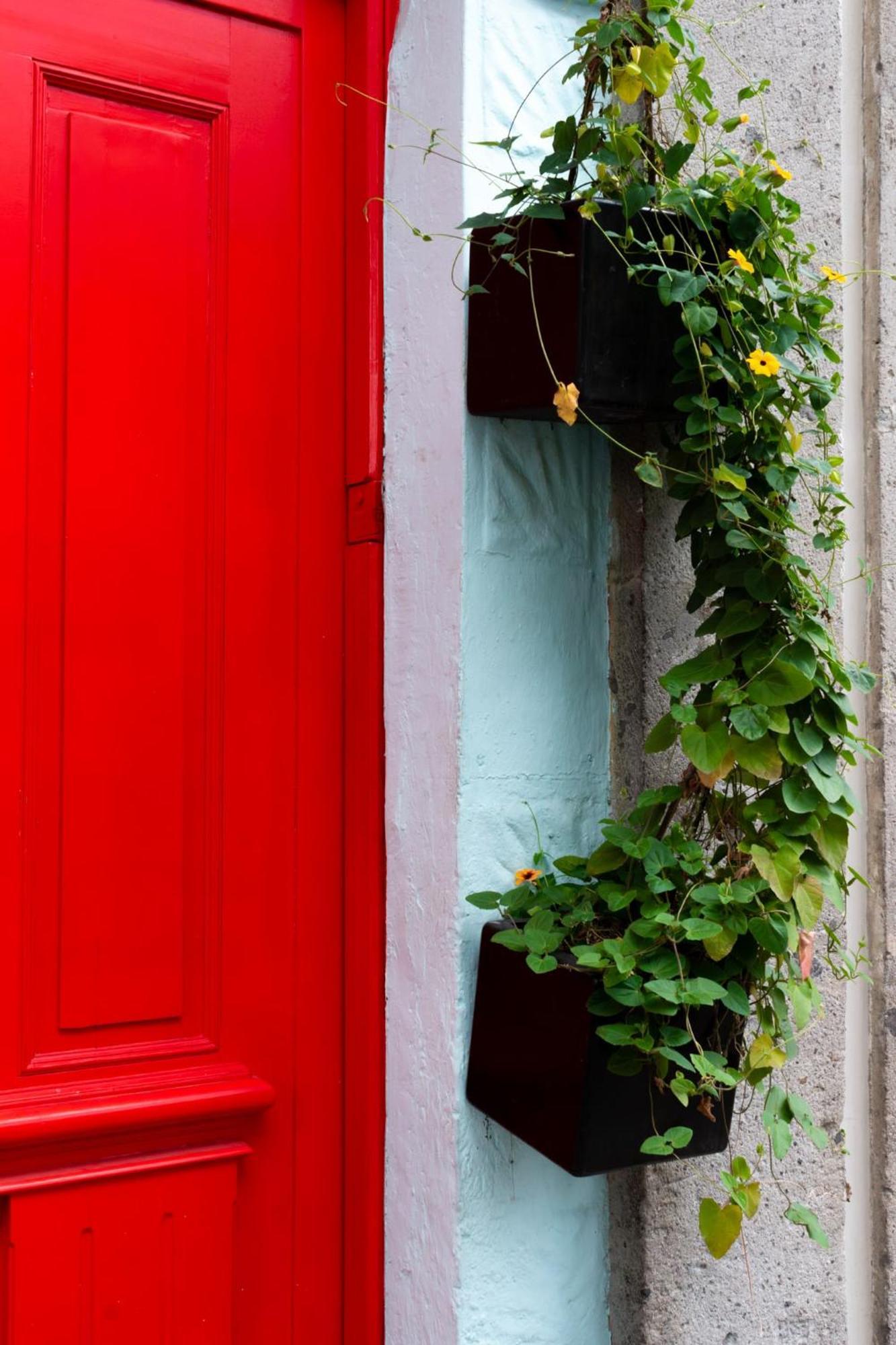 Puerta Roja En La Colonia Roma Jacuzzi Mexico City