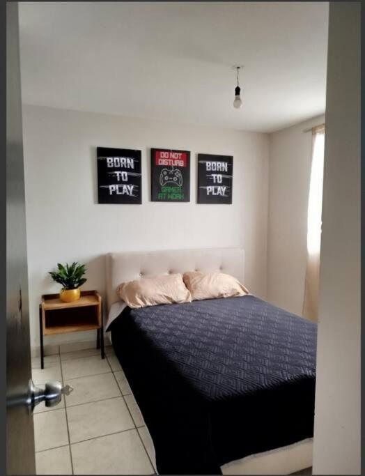 Entero Apartamento *