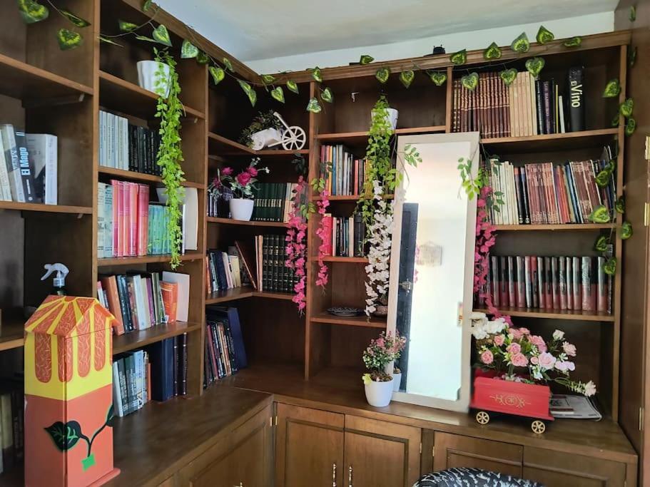 La Mas Comoda Y Elegante Apartamento México DF