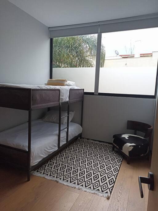 Hermoso & Acogedor En Condesa
