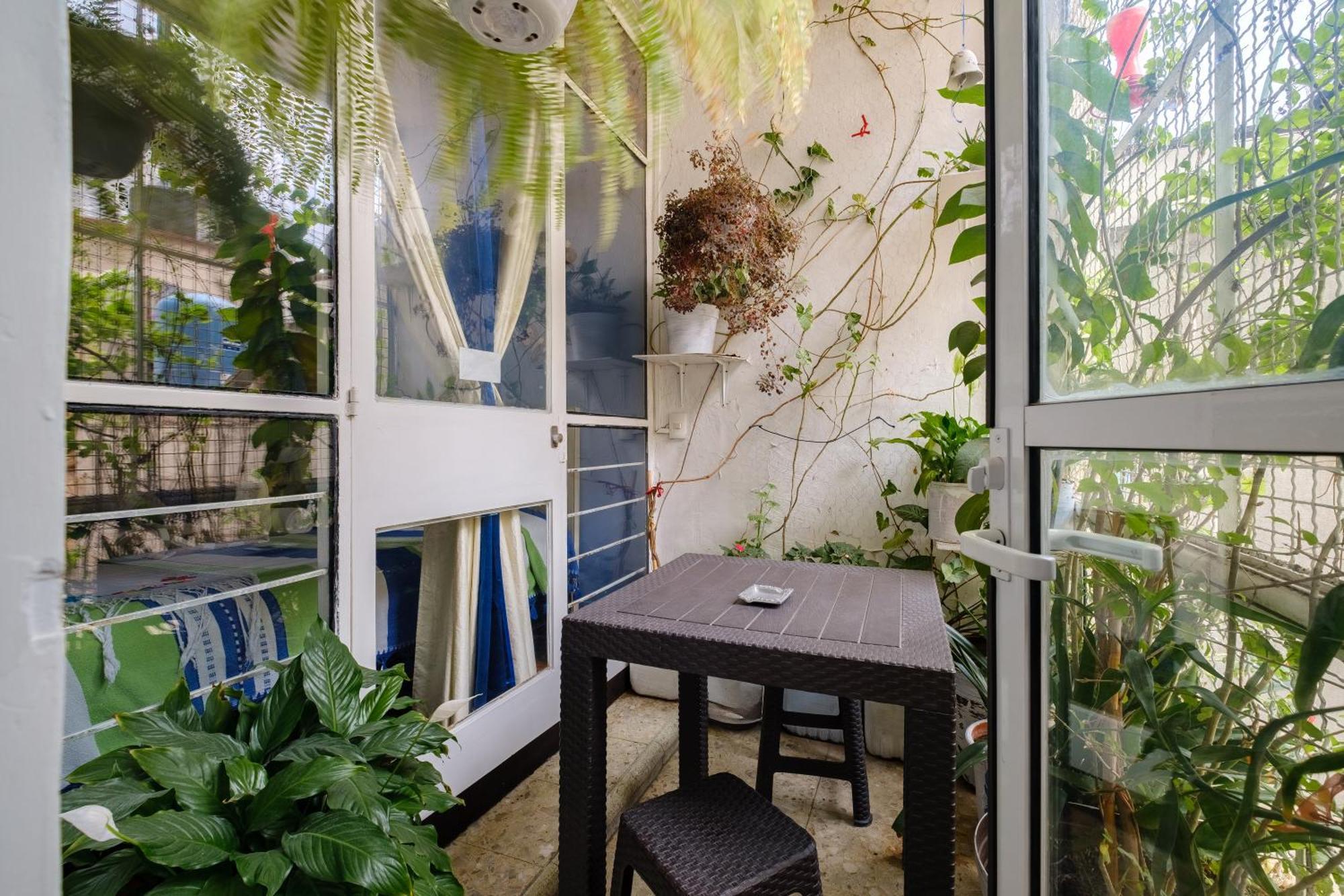 Casa Itzae Polanquito Dog Friendly