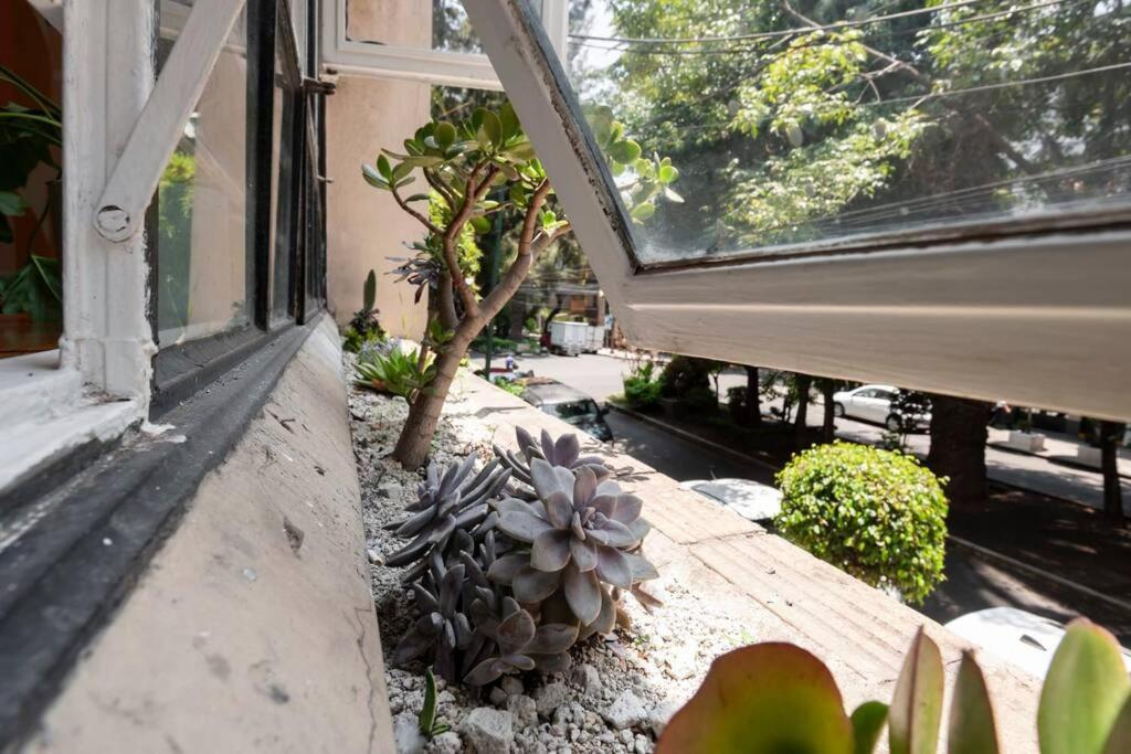 Abstract - 4br Fantastic Heart Of Condesa * México DF