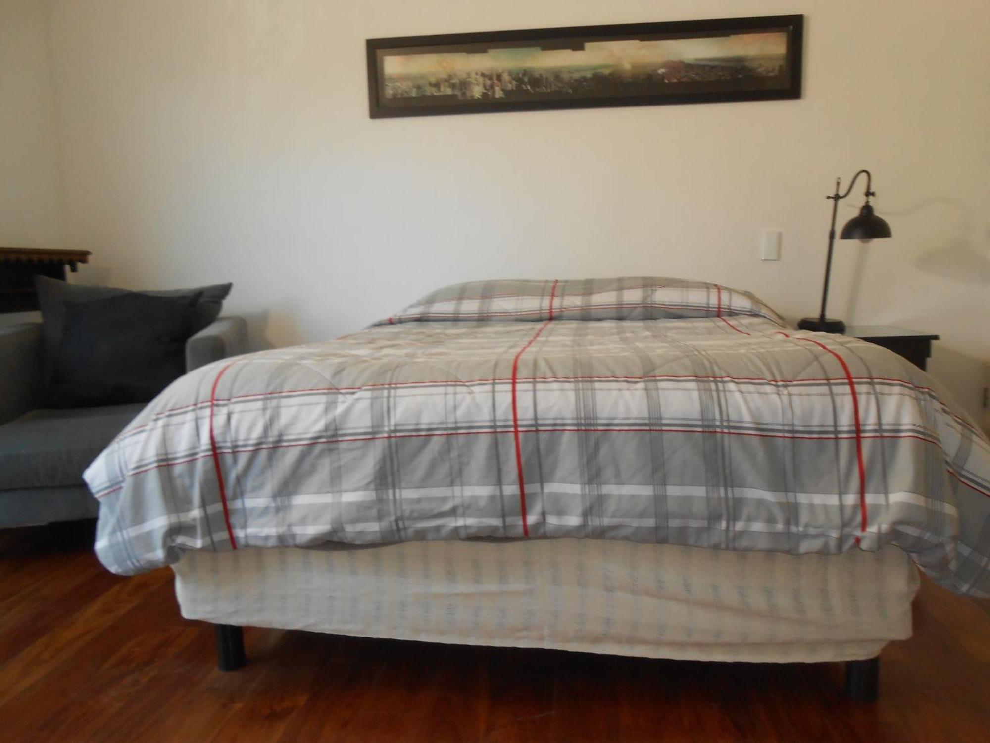 Terraza & Loft San Angel Homestay *