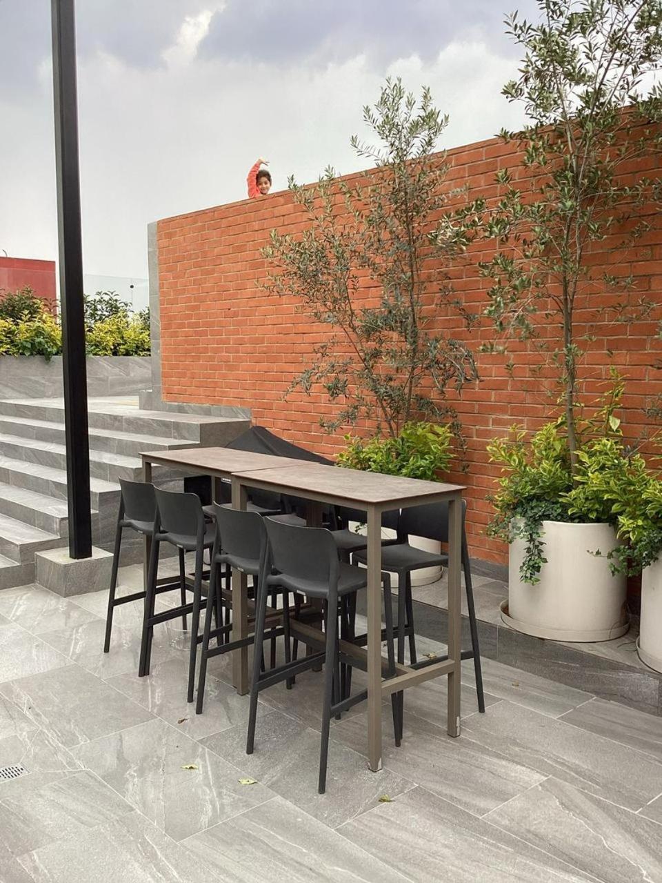 Hermoso Departamento En El Corazon De Condesa Apartamento