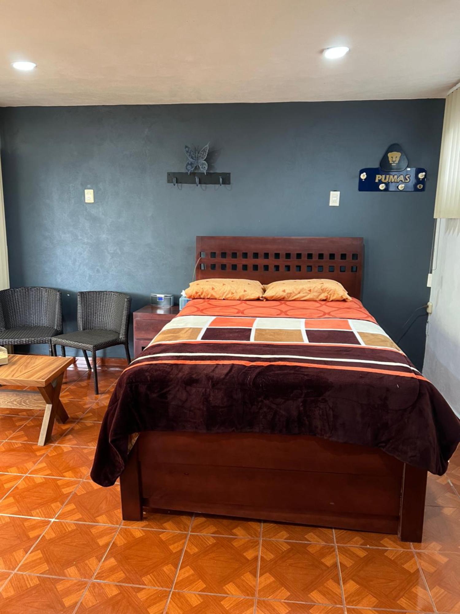 Comoda En Coyoacan * Mexico City