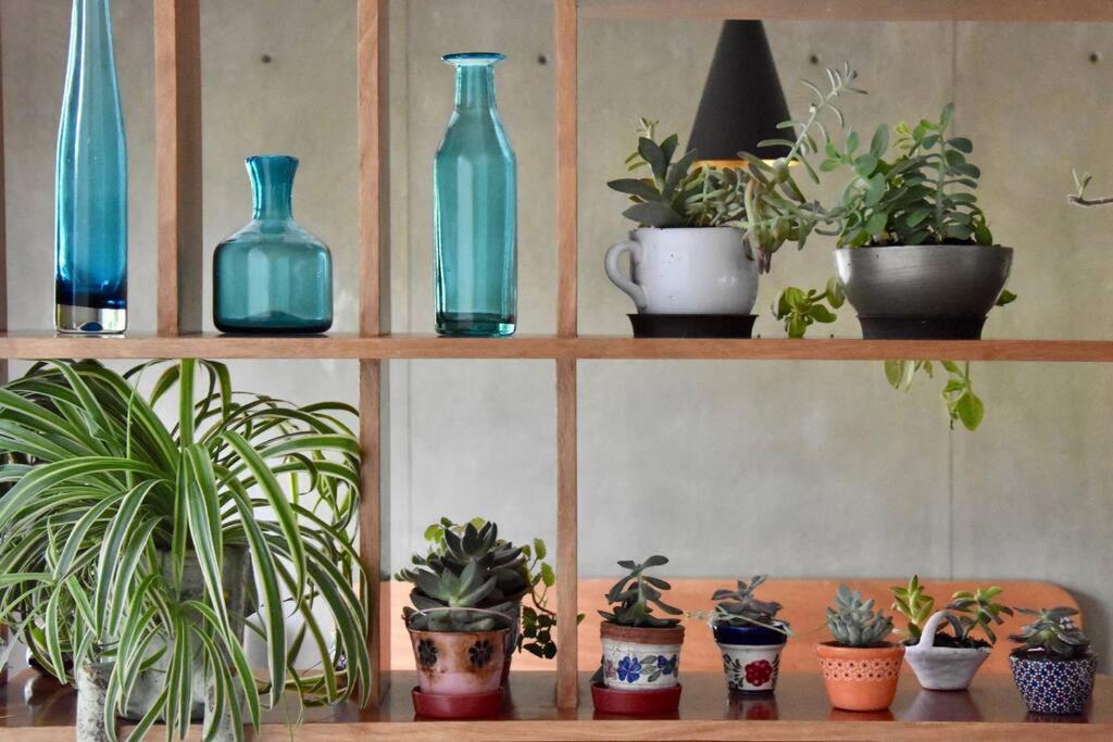 Apartamento Beautiful Loft In Trendy Roma-condesa Elevator *