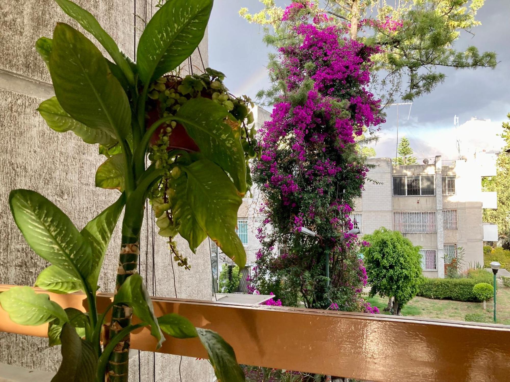 Rincon Coapa Bed and breakfast