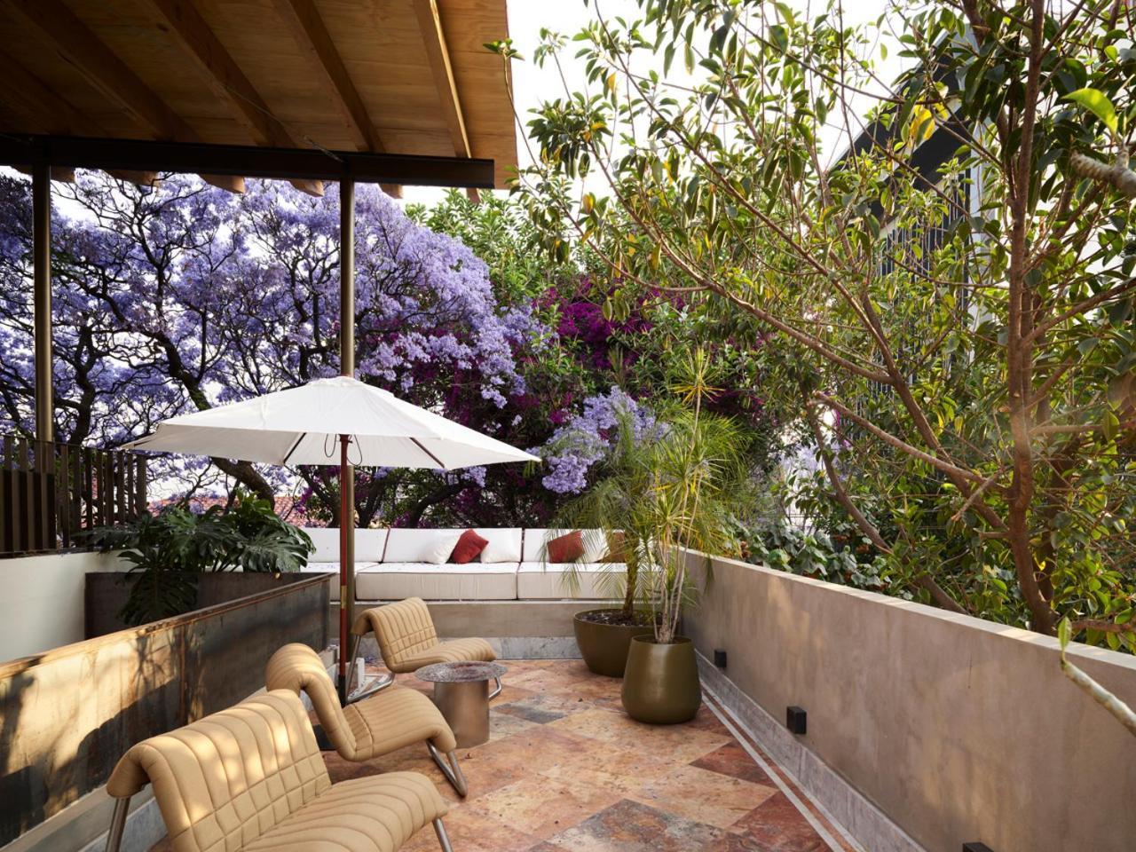 Dama Hotel Mexico City