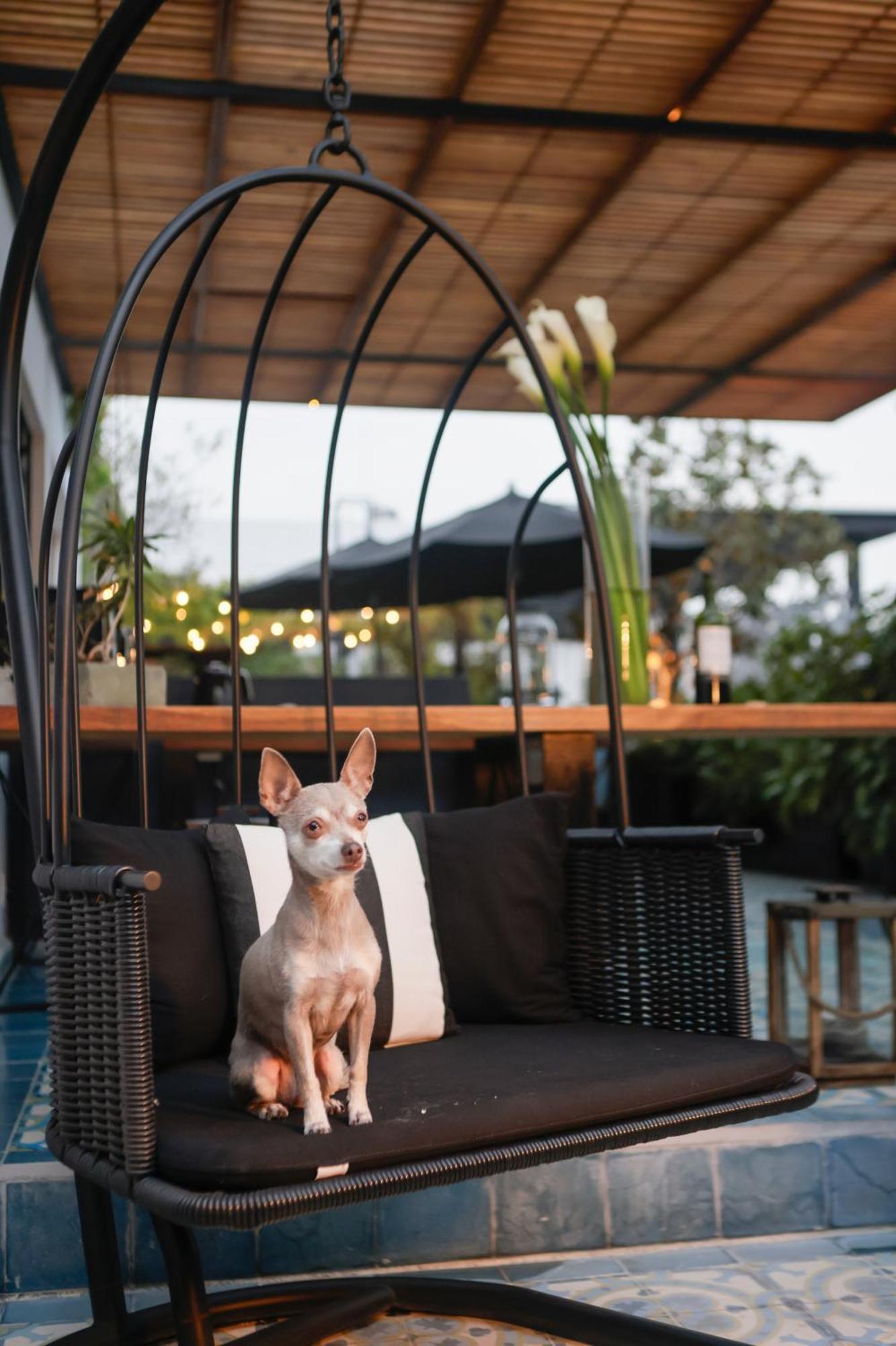 Hotel Casa Decu Mexico City