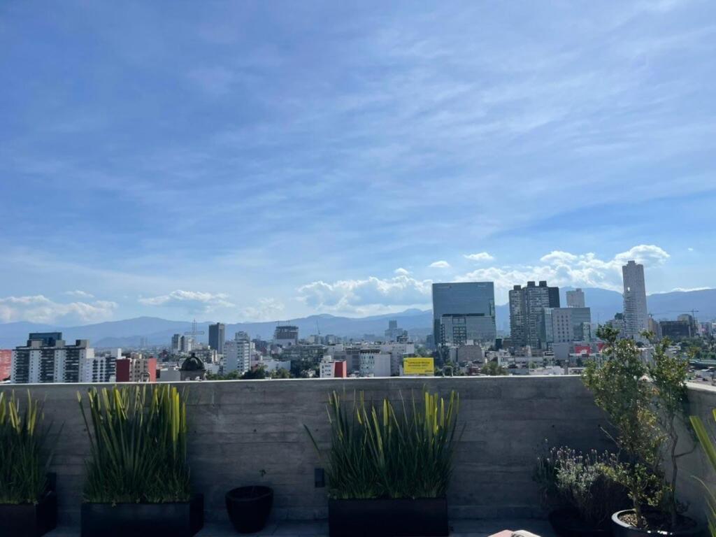 Modern * Mexico City