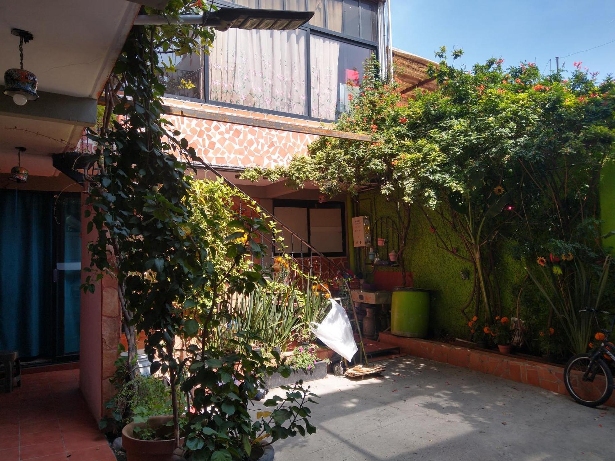 Homestay Lindo Mexico City