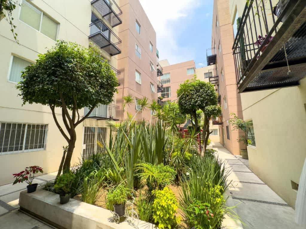 Adam's With High-speed Internet Near Polanco