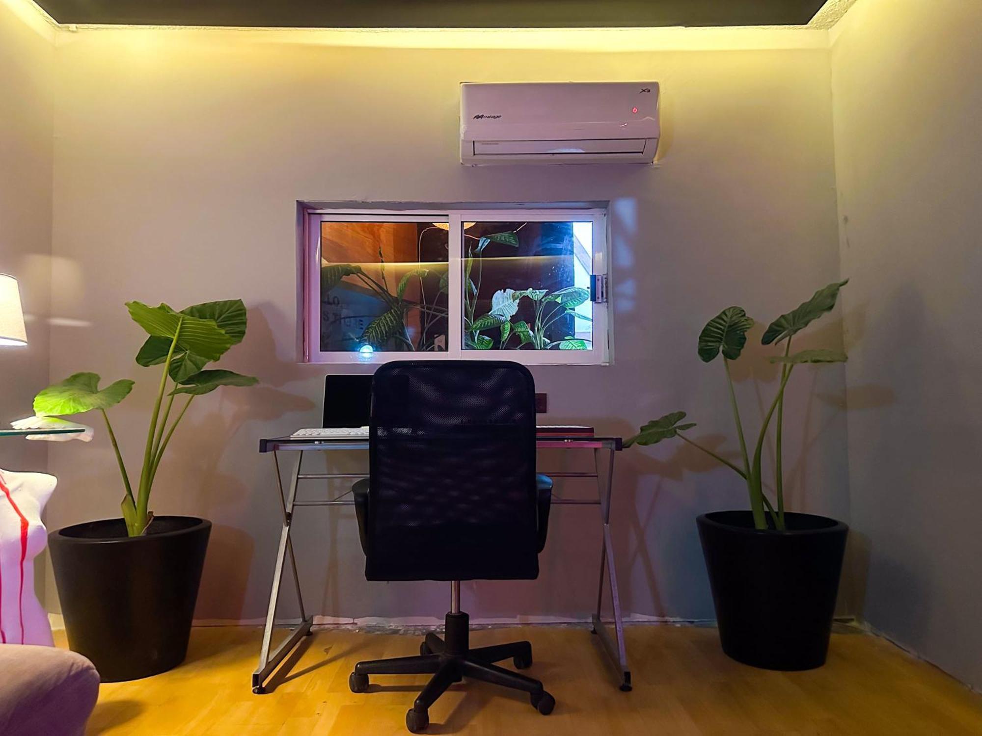 Apartment Modern In Anzures 1 Bedroom Mexico City