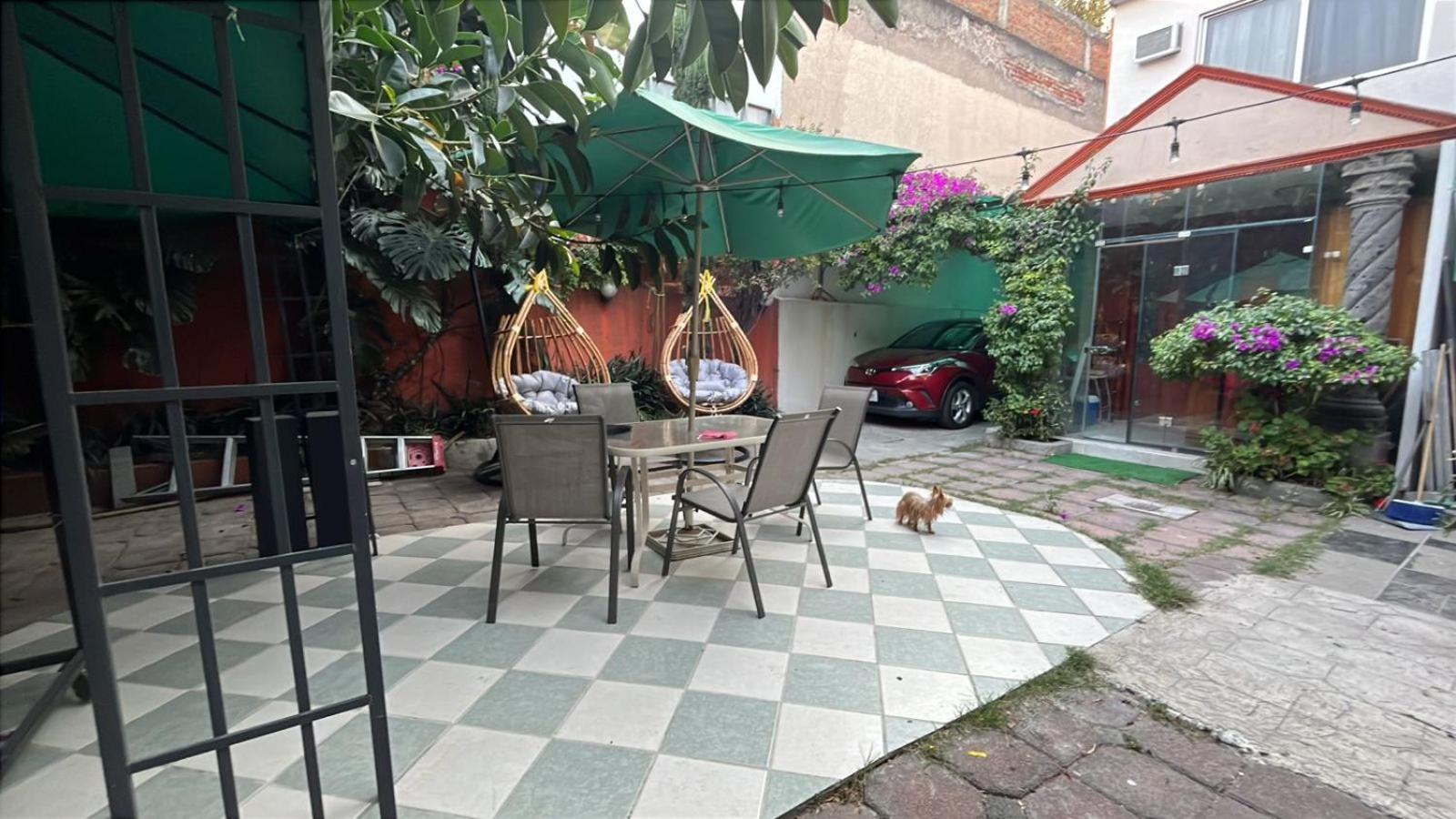 Amarilla México DF