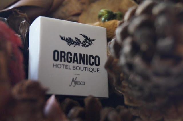 Orgánico Boutique Hotel México DF