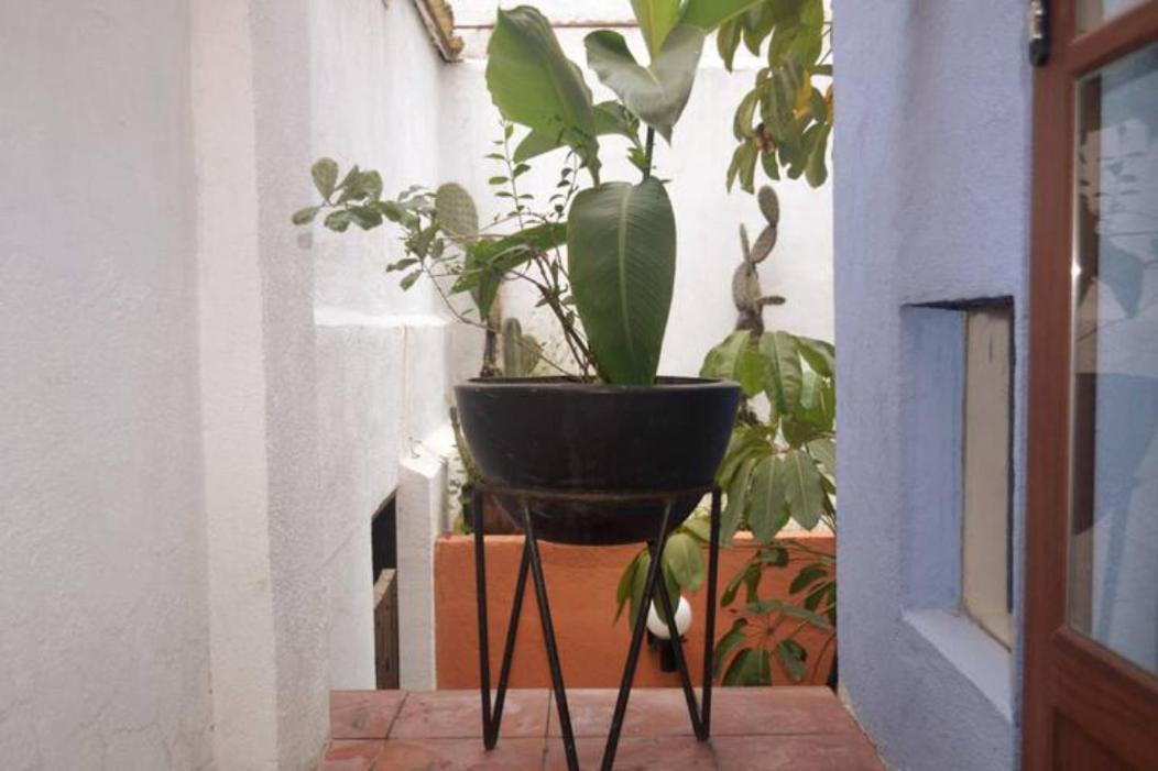 Hacienda Gobernadores 3*