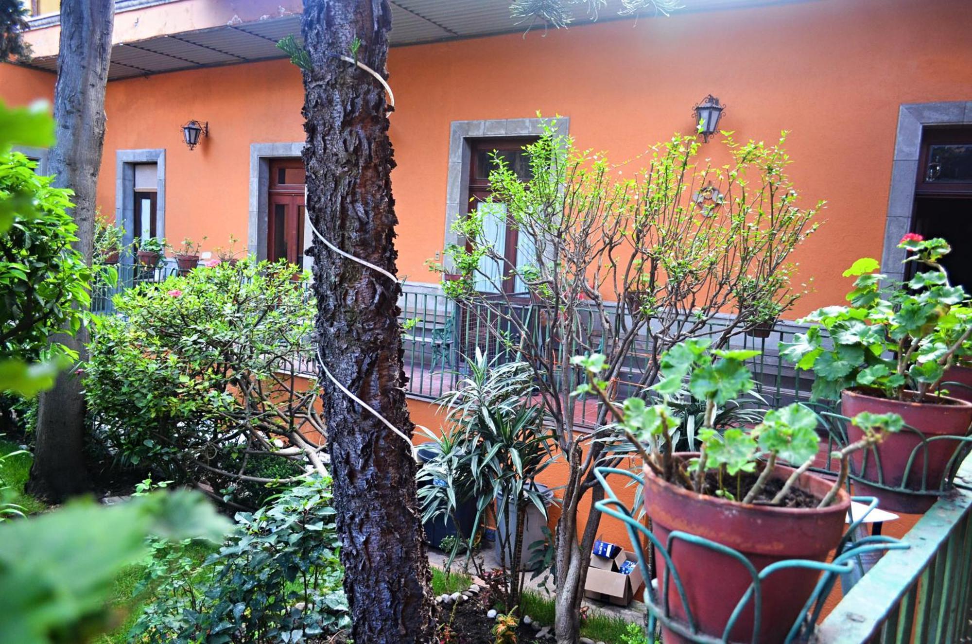 Hacienda Gobernadores México DF