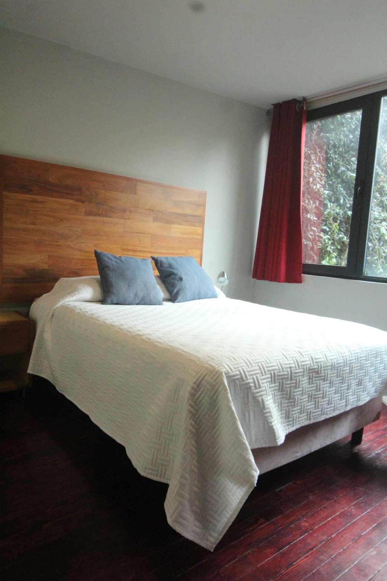 Terraza & Loft San Angel Homestay Mexico City