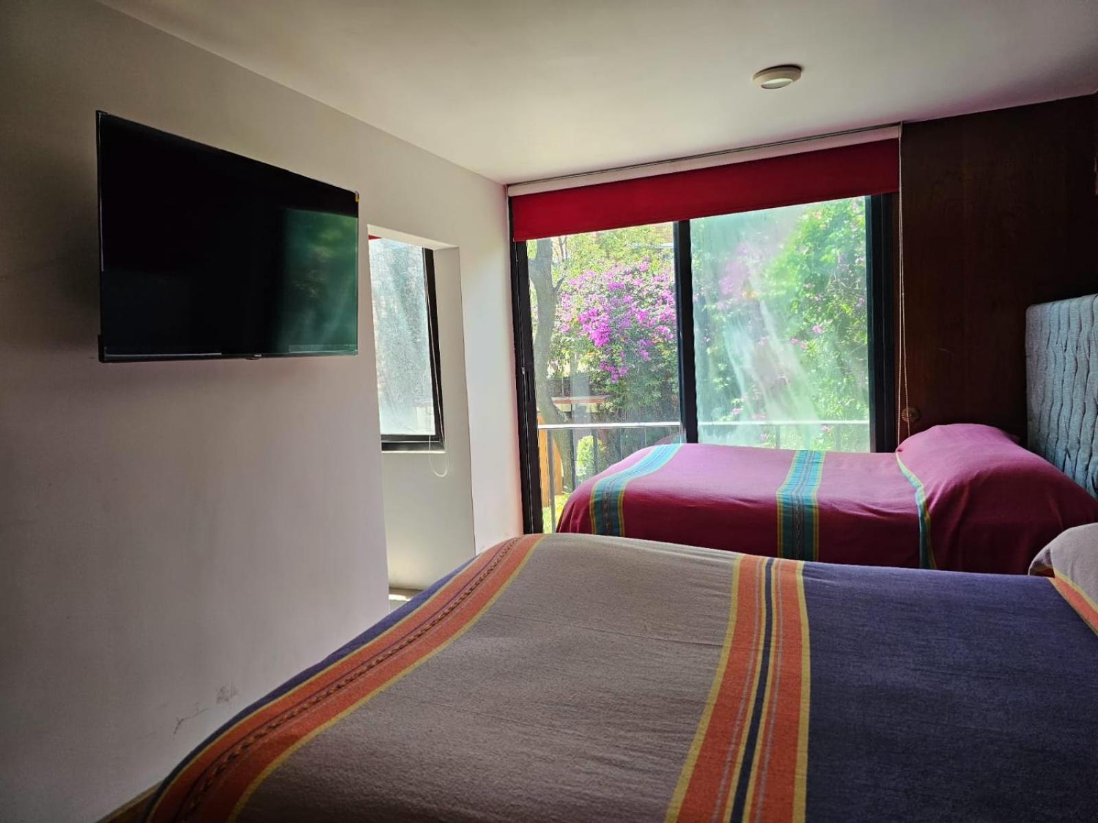 Terraza & Loft San Angel Homestay Mexico City