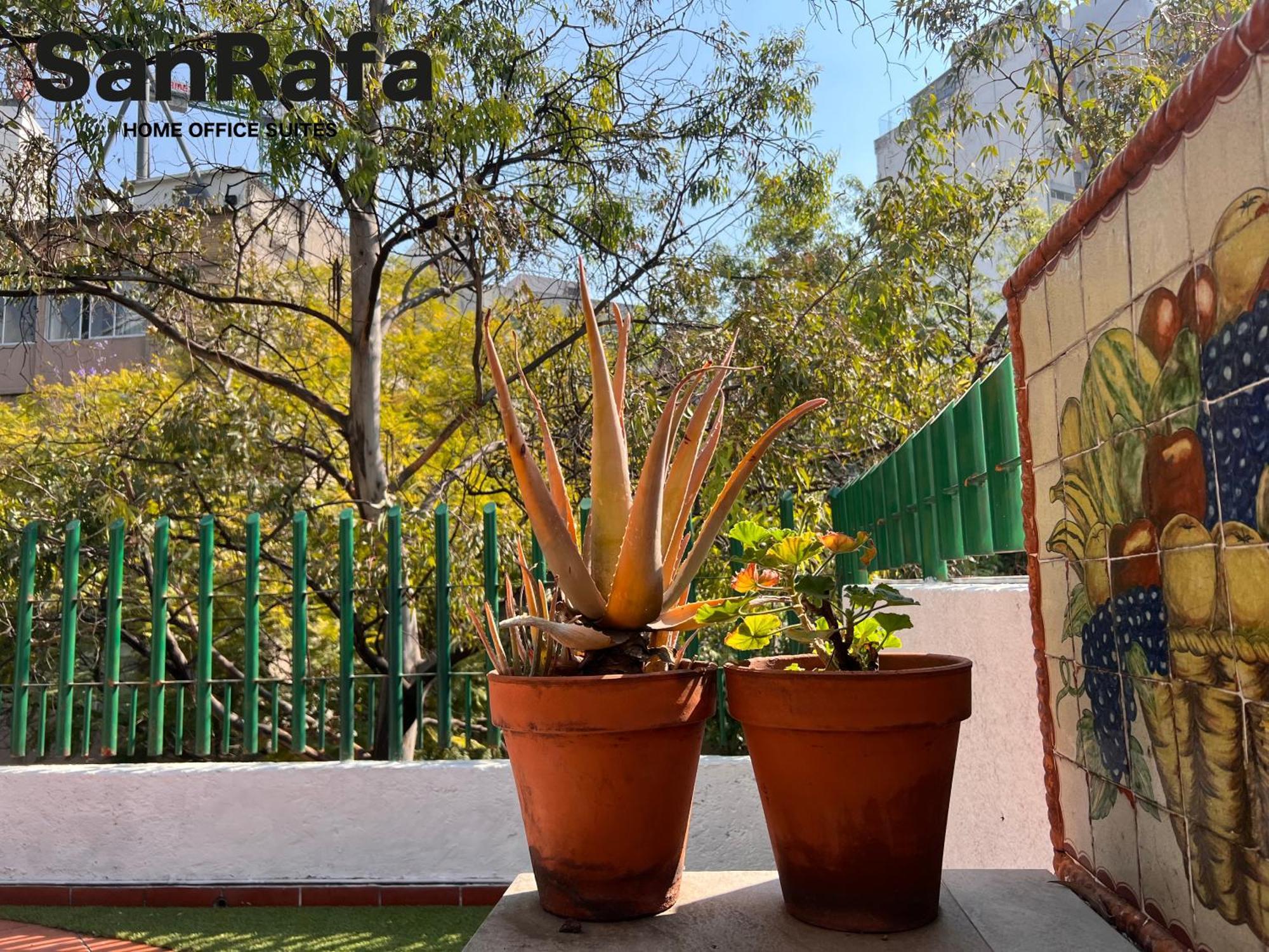 Sanrafa Polanco I * México DF
