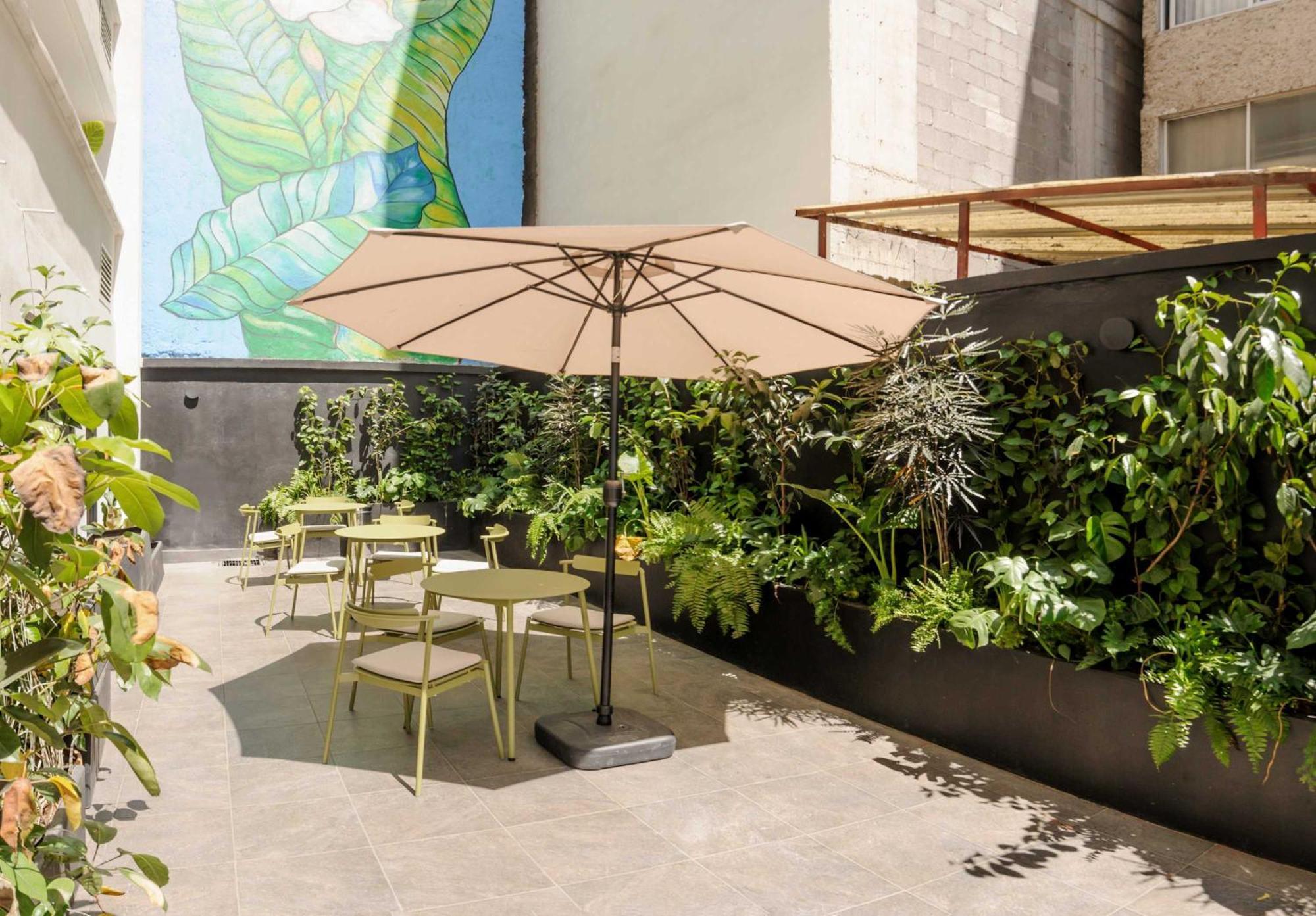 Colima 340 By Wynwood House * Mexico City