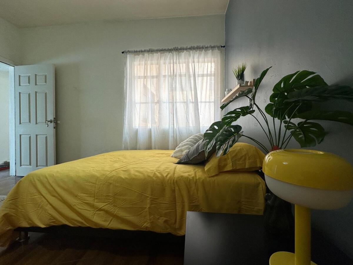 Nuevo , Amplio Y Encantador Departamento En Condesa Apartamento *
