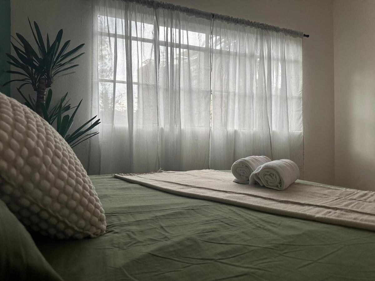 Nuevo , Amplio Y Encantador Departamento En Condesa Apartamento