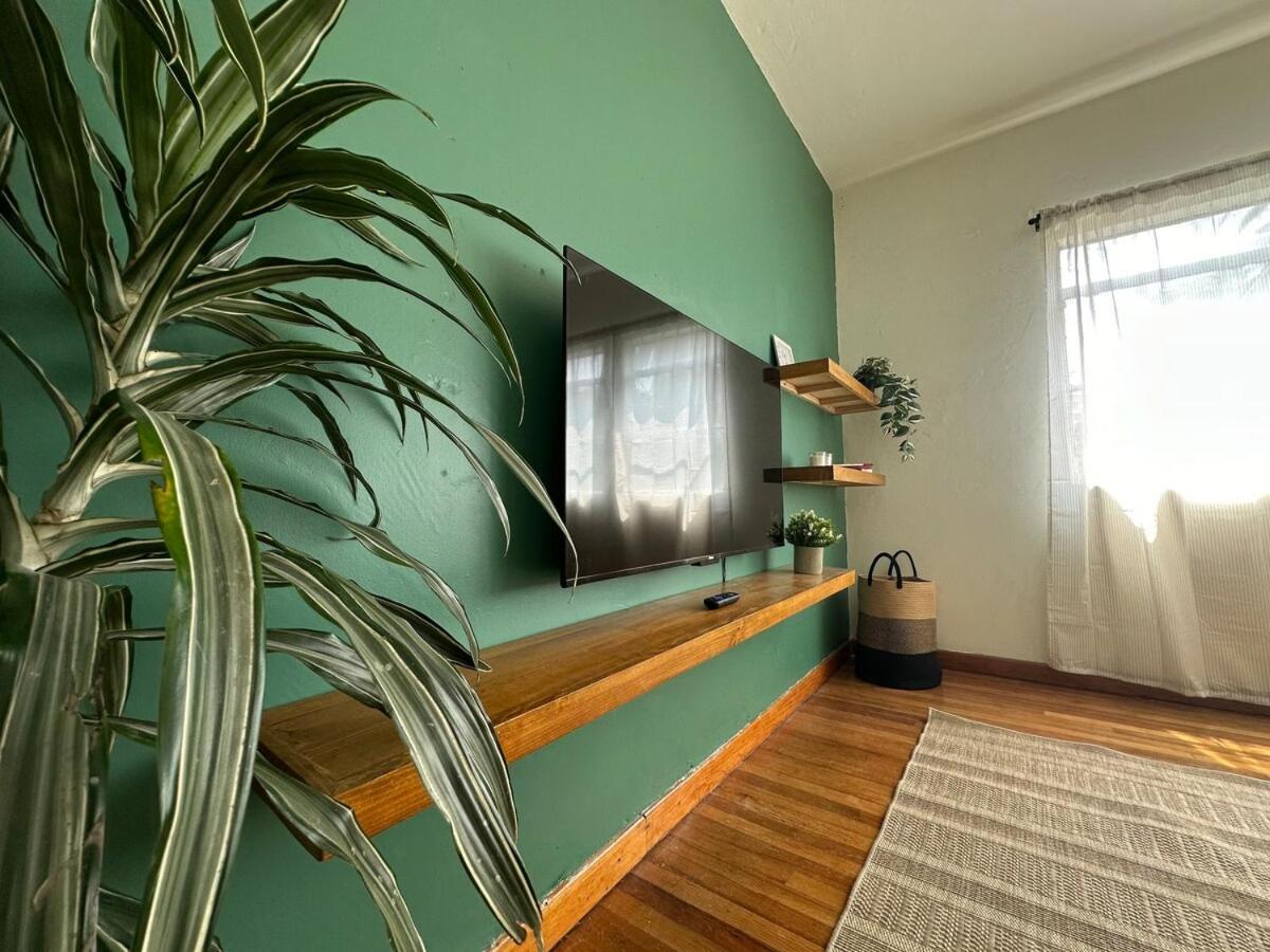 Apartamento Nuevo , Amplio Y Encantador Departamento En Condesa