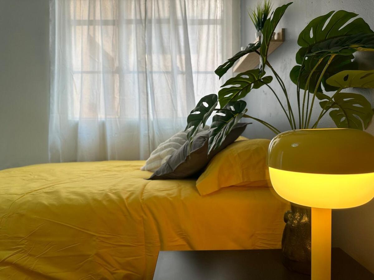 Nuevo , Amplio Y Encantador Departamento En Condesa Apartamento México DF