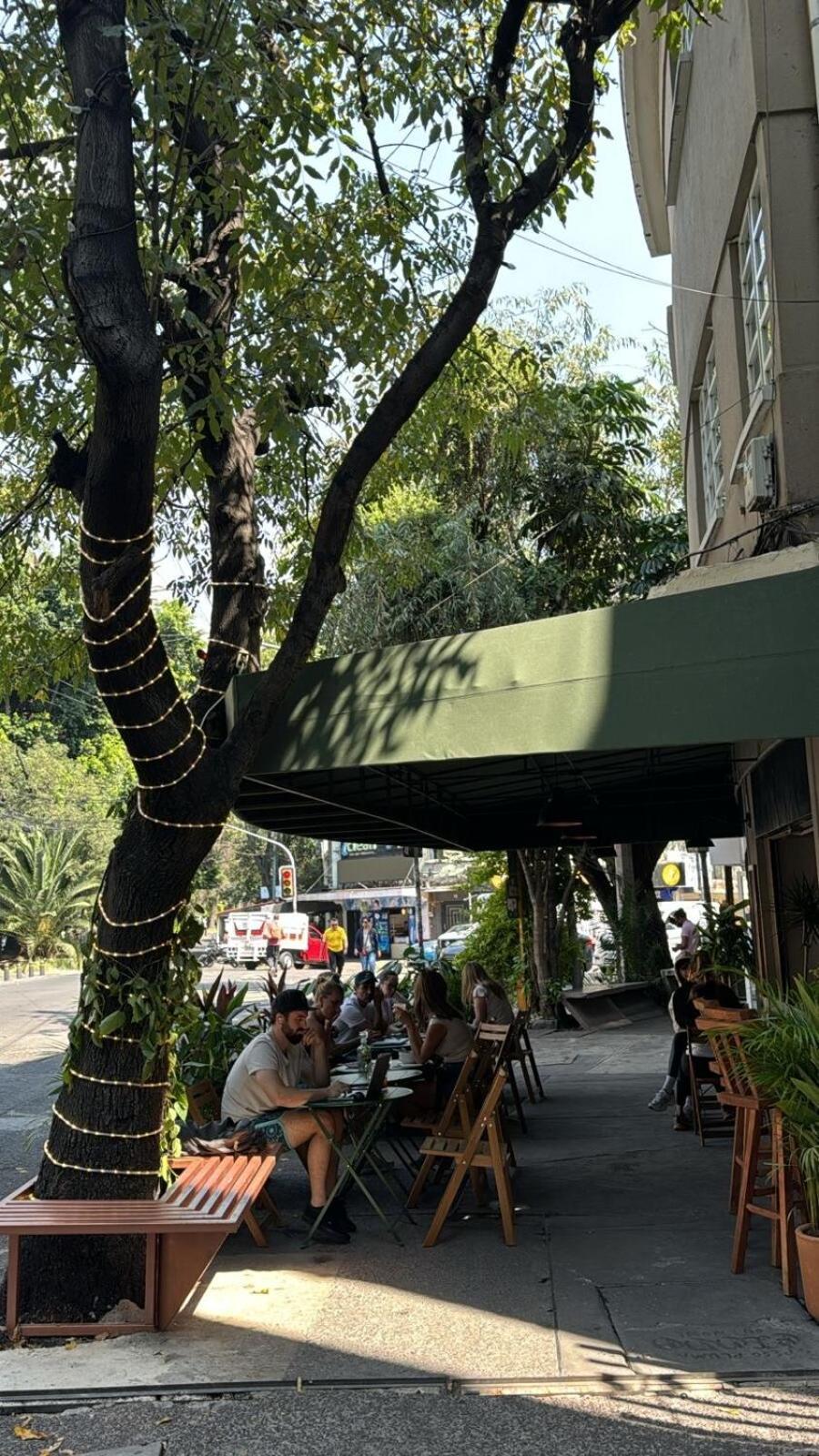 Nuevo , Amplio Y Encantador Departamento En Condesa Apartamento