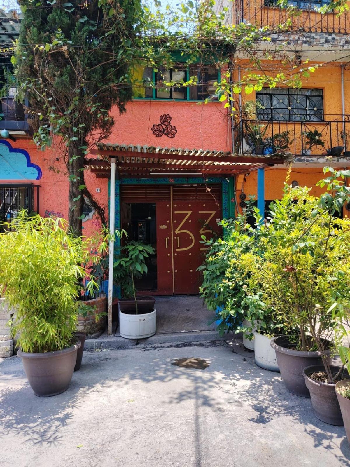 Hostel Mexico Df Airport Mexico City